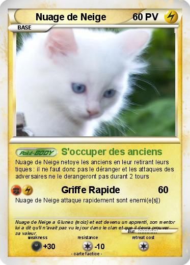 Pokemon Nuage de Neige