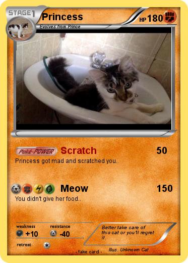 Pokemon Princess