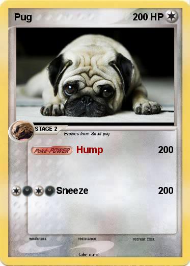 Pokemon Pug