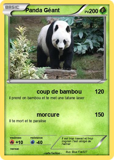 Pokemon Panda Géant