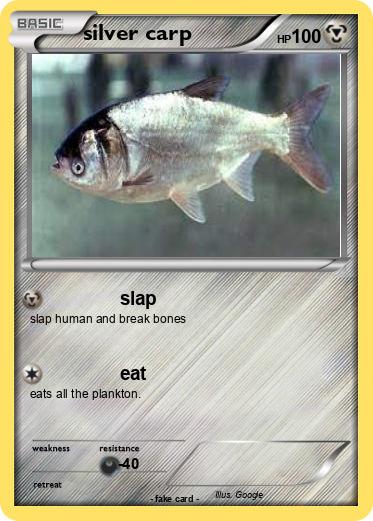Pokemon silver carp