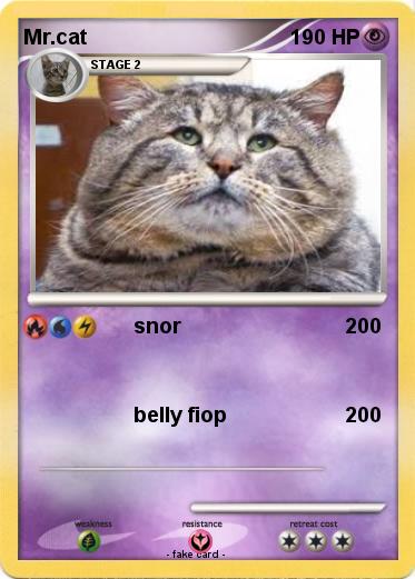 Pokemon Mr.cat
