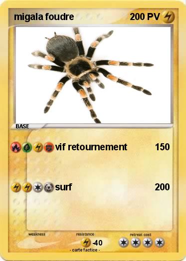 Pokemon migala foudre