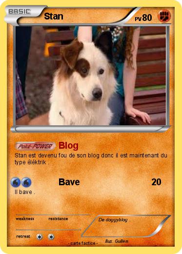 Pokemon Stan