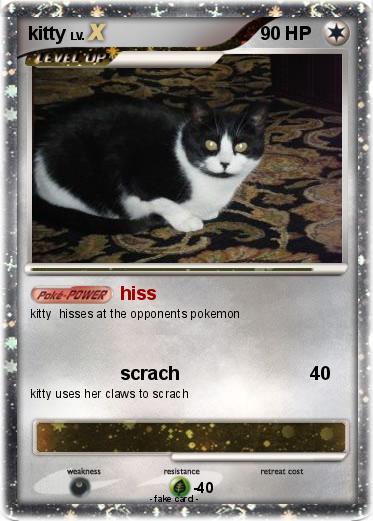 Pokemon kitty