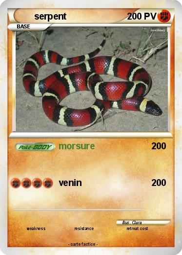 Pokemon serpent