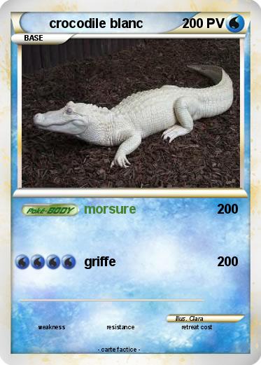 Pokemon crocodile blanc