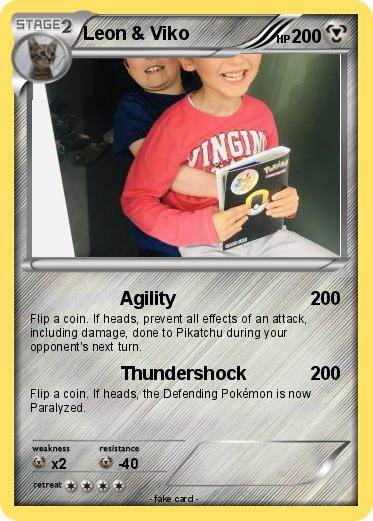 Pokemon Leon & Viko