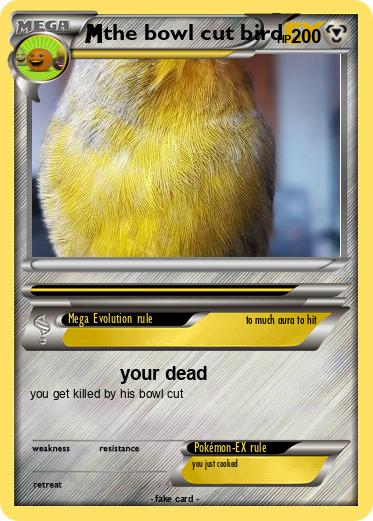 Pokemon the bowl cut bird