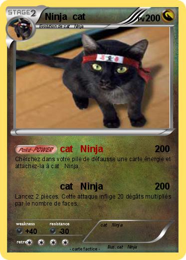 Pokemon Ninja  cat