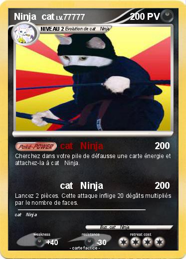 Pokemon Ninja  cat
