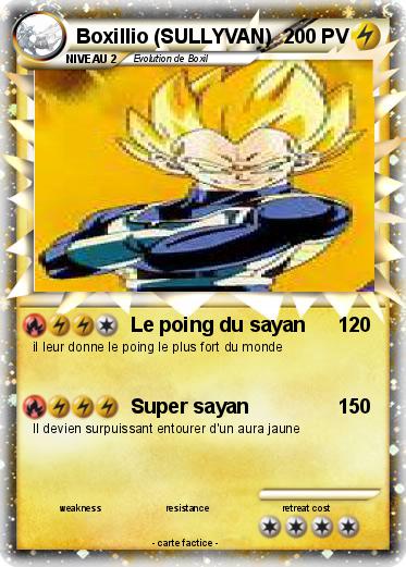 Pokemon Boxillio (SULLYVAN)