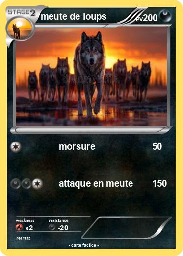 Pokemon meute de loups