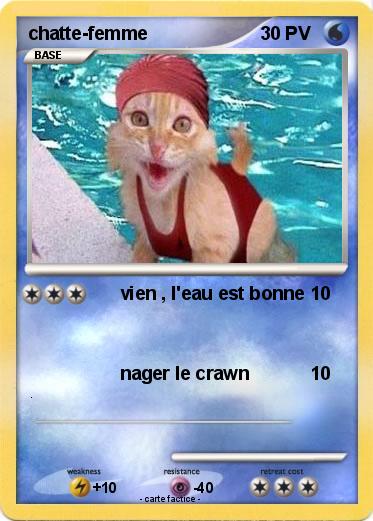 Pokemon chatte-femme
