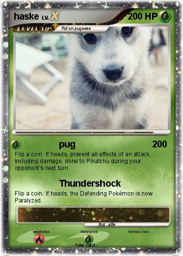 Pokemon haske