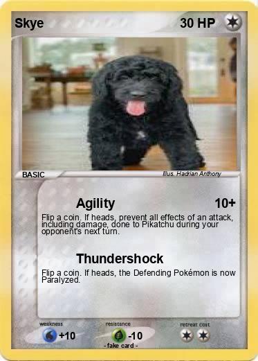 Pokemon Skye