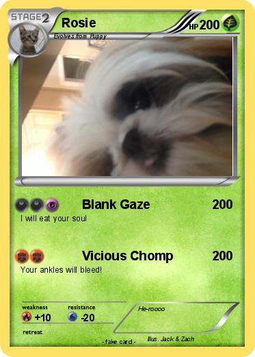 Pokemon Rosie