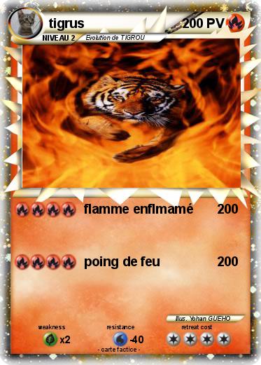 Pokemon tigrus