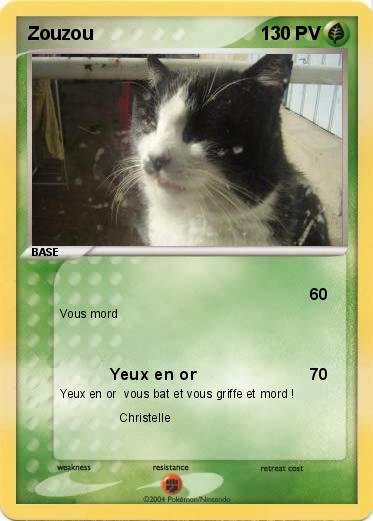 Pokemon Zouzou