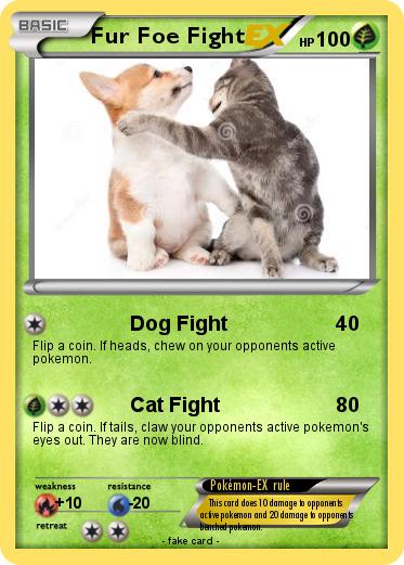 Pokemon Fur Foe Fight