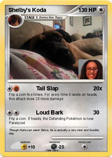 Pokemon Shelby's Koda