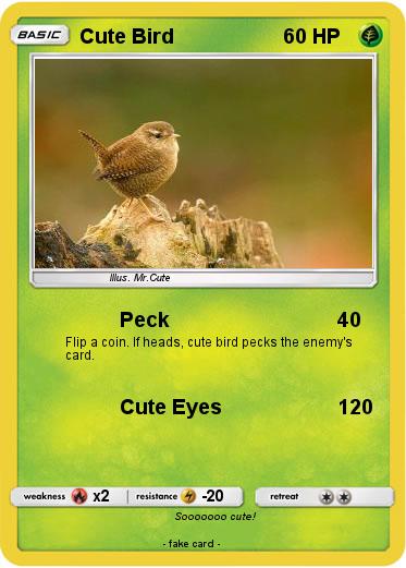 Pokemon Cute Bird