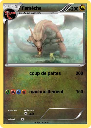Pokemon flamèche