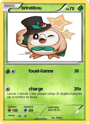 Pokemon brindibou