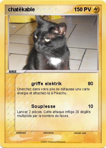 Pokemon chatékable