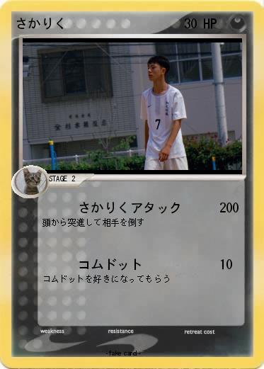 Pokemon さかりく