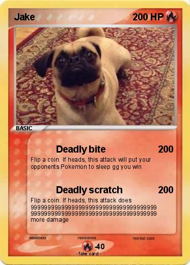 Pokemon Jake