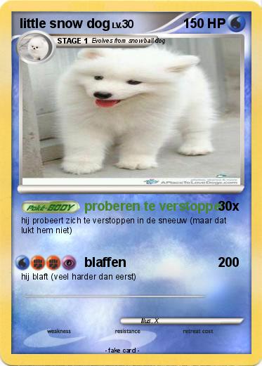 Pokemon little snow dog
