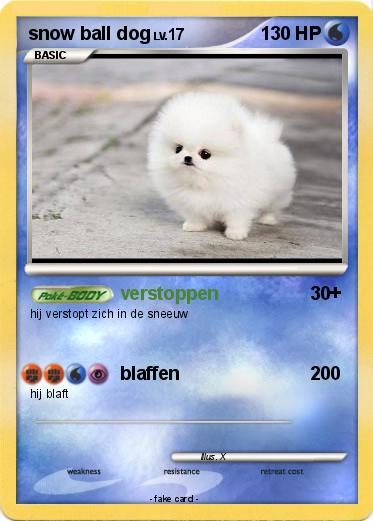 Pokemon snow ball dog