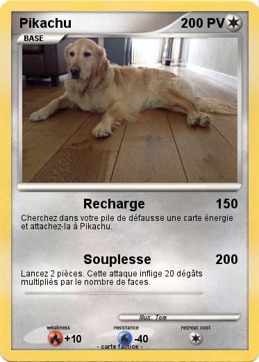 Pokemon Wammes