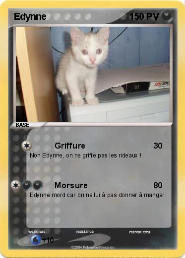 Pokemon Edynne
