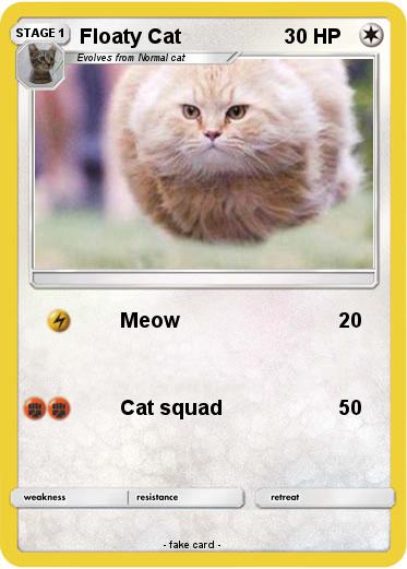 Pokemon Floaty Cat