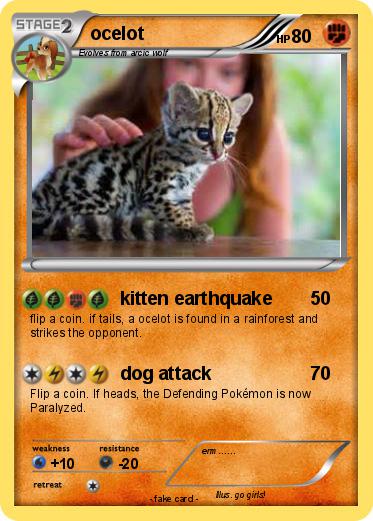 Pokemon ocelot