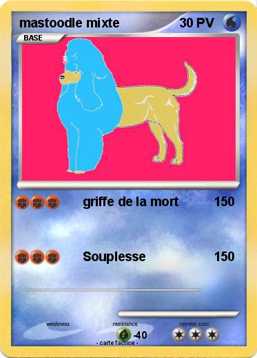 Pokemon mastoodle mixte