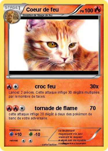 Pokemon Coeur de feu