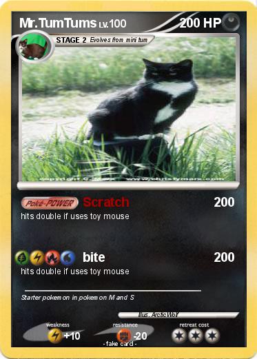 Pokemon Mr.TumTums