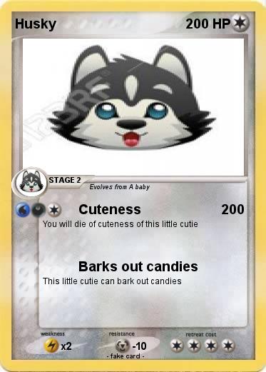 Pokemon Husky