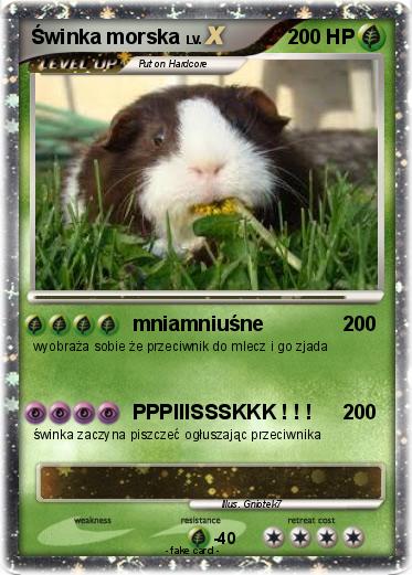 Pokemon Świnka morska