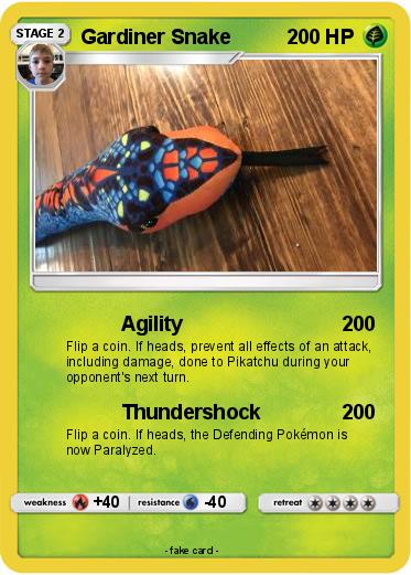 Pokemon Gardiner Snake