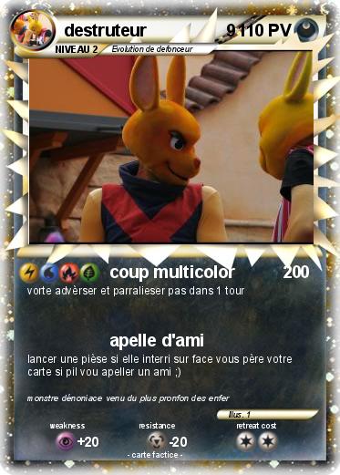 Pokemon destruteur                 9