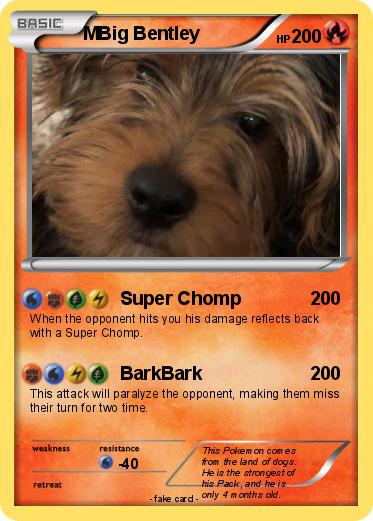 Pokemon MBig Bentley