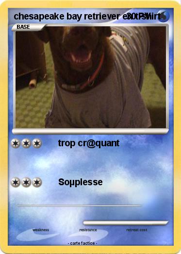 Pokemon chesapeake bay retriever en t-shirt