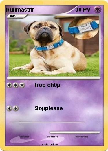 Pokemon bullmastiff