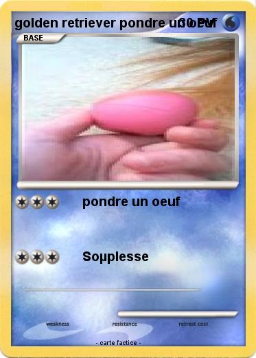 Pokemon golden retriever pondre un oeuf