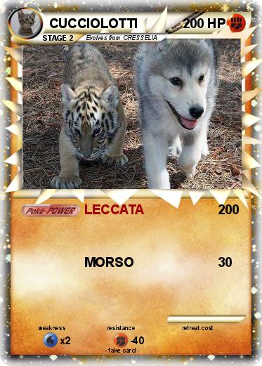 Pokemon CUCCIOLOTTI
