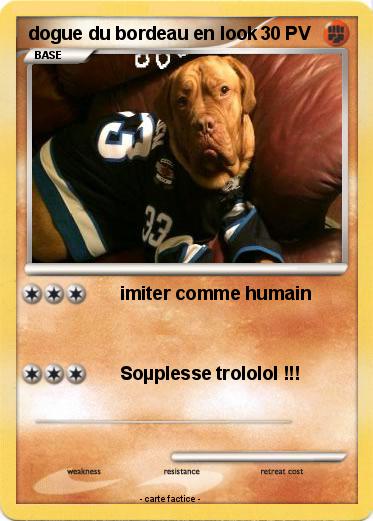 Pokemon dogue du bordeau en look